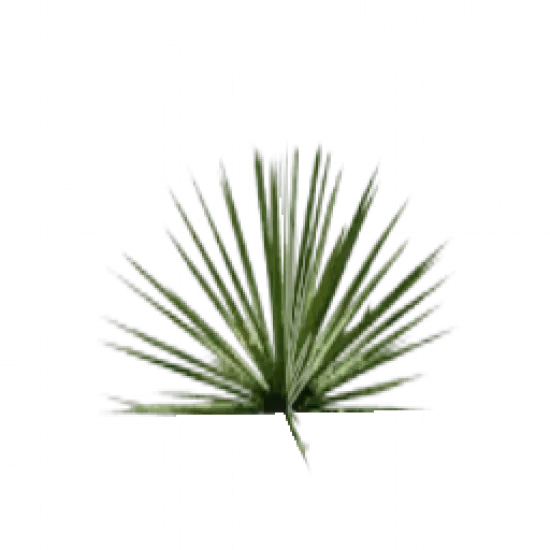 Счастливая травка - №75394