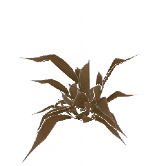 Папоротник (объект) - №32843