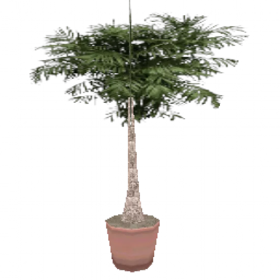 Цветок в горшке 1 (объект) - №33576