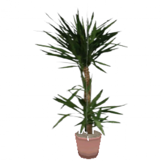 Цветок в горшке 2 - №75625