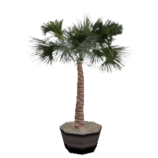 Цветок в горшке 4 - №75694