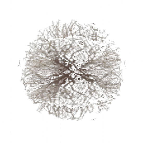 Адская трава - №75508