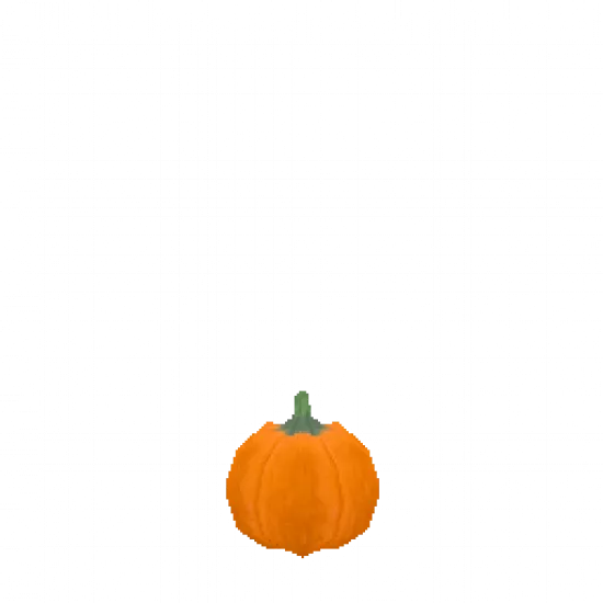 Тыква - №75215