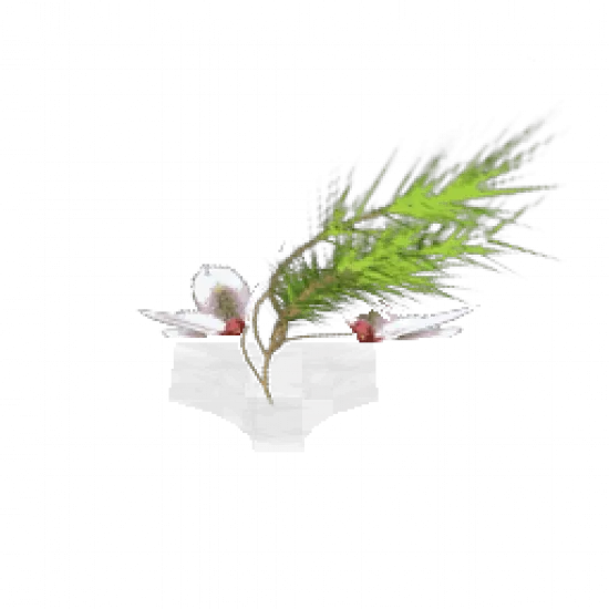 Странное растение - №75310