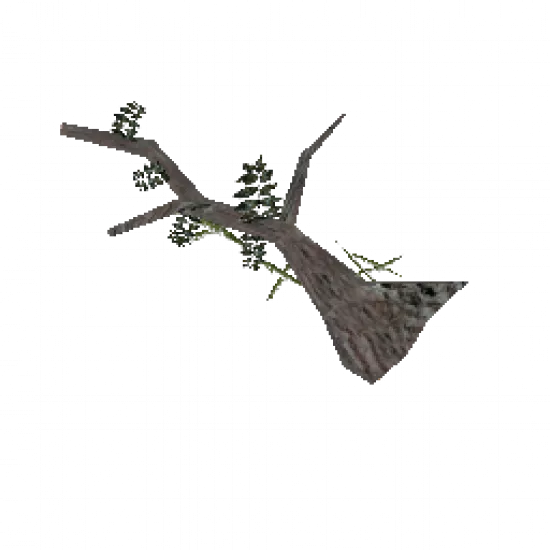 Заколдованное дерево - №34207