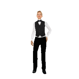 Скин: Casino croupier (ID: 172) - №75284