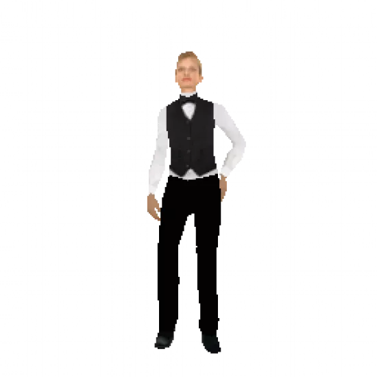 Скин: Casino croupier (ID: 172) - №75284