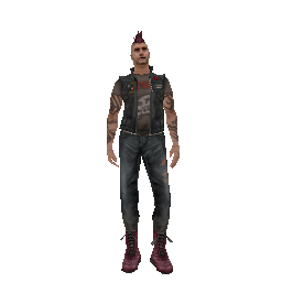 Punk (ID: 181) - №32365