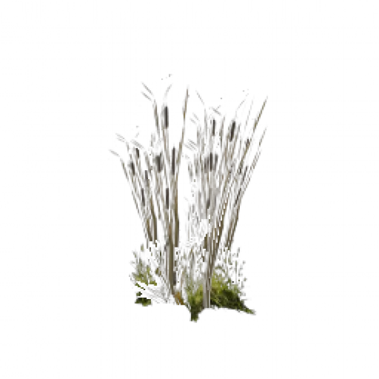 Грядка льна - №75257