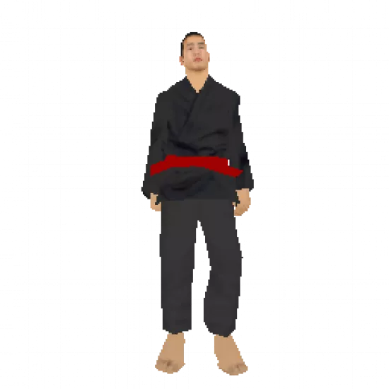 Karate Teacher (ID: 203) - №33597