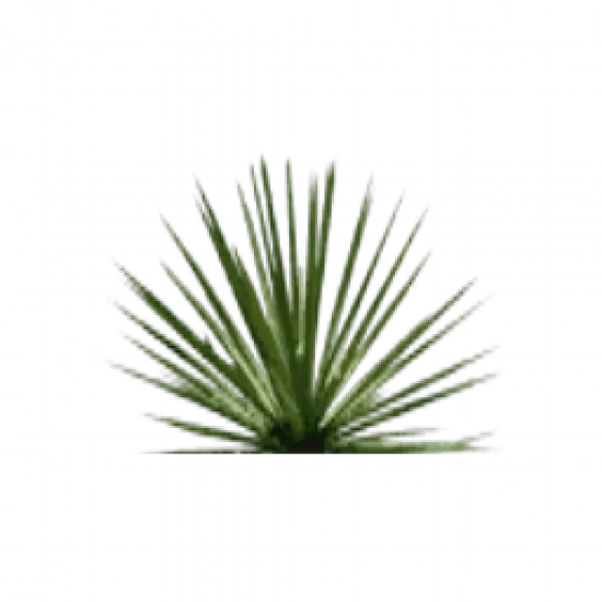 Грядка с наркотиками - №75947