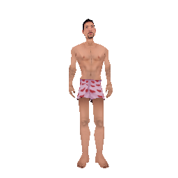 Naked Valet (ID: 252) - №32265