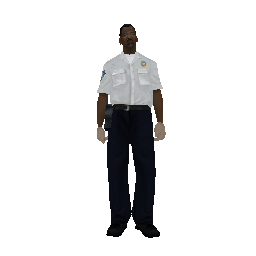 Paramedic (Medical) (ID: 274) - №34164