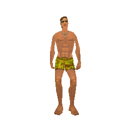 Скин: VC - Beach Visitor (ID: 568) - №75197