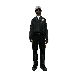 LSPD Motorbike Cop (ID: 284) - №34473
