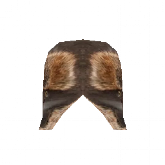 Медведья шапка - №33845