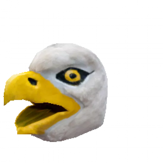 Голова орла - №34375