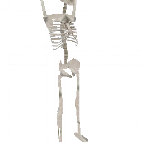 Анимированный скелет (объект) - №34364