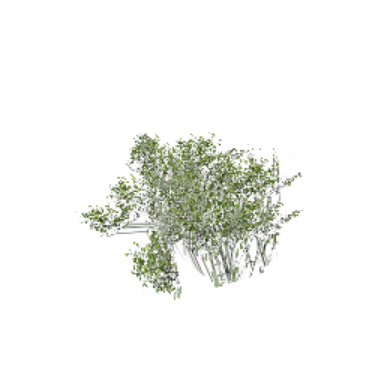 Хлопок - №34605