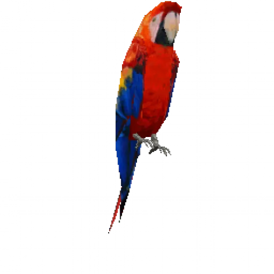 Попугай на плечо - №33522