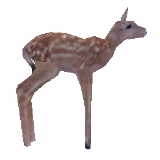 Тушка оленя - №34653