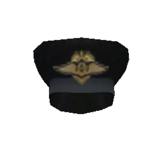 Полицейская фуражка #1 - №34768