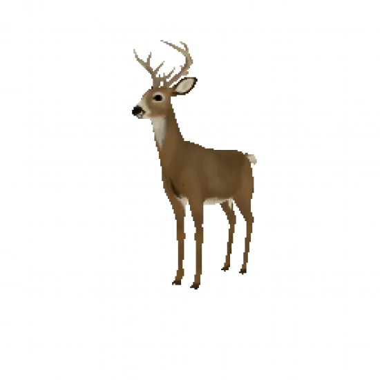 Олененок - №73237