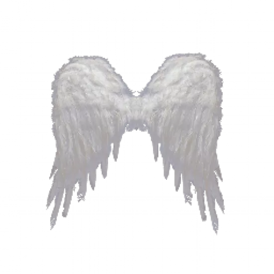 Крылья Купидона - №31724