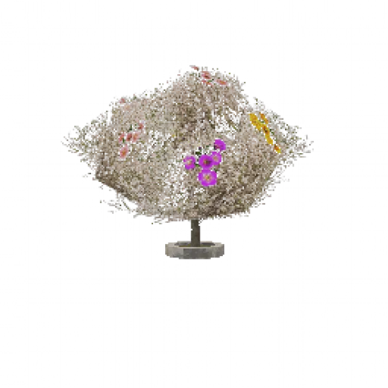 Объект: Белая сакура - №31591