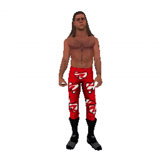 Скин: Шон Майклз (ID: 703) - №31555