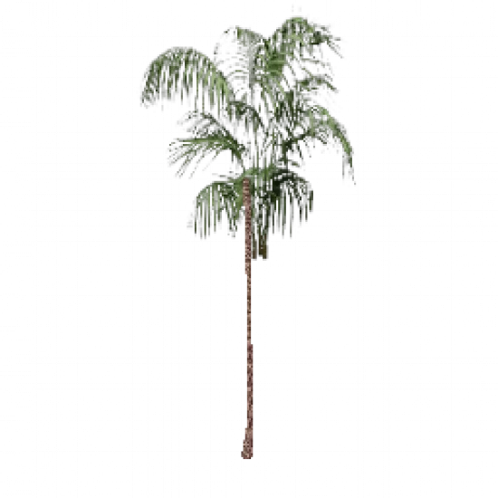 Большая декоративная пальма - №68491