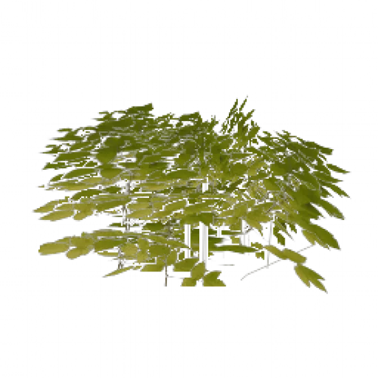 Большой куст (1) - №67885