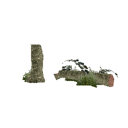 Коряга (1) - №68296