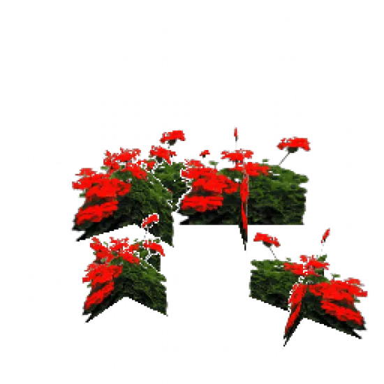 Большие красные цветы - №68581