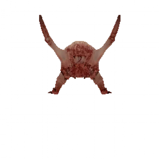 Хедкраб - №73182