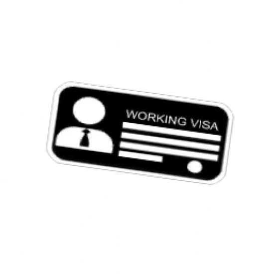 Рабочая виза - №78948