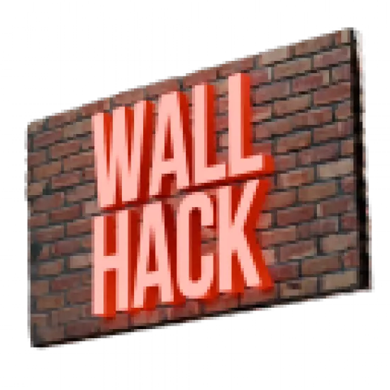Эффект Wall Hack - №80189