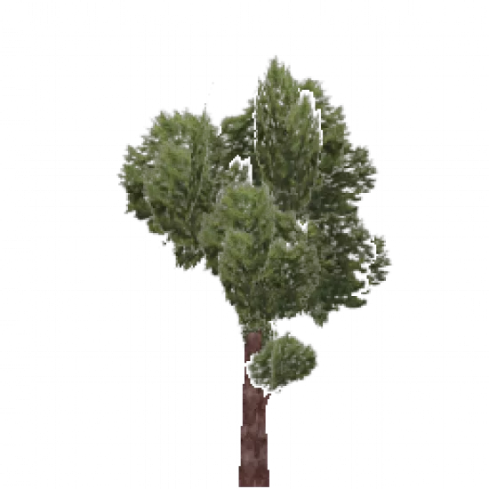 Объект: Дерево 1 - №80173