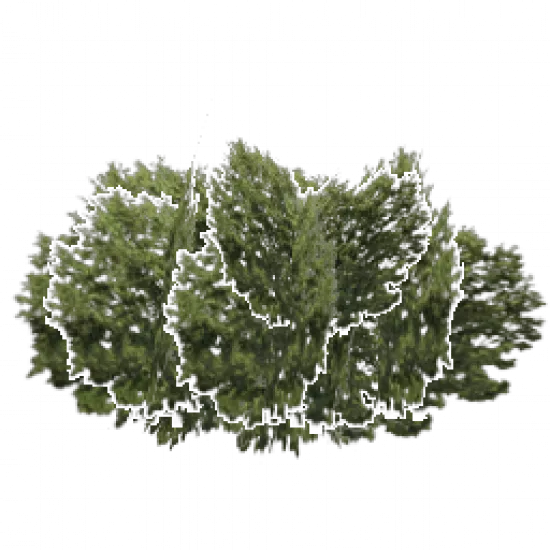 Объект: Большой куст - №80143