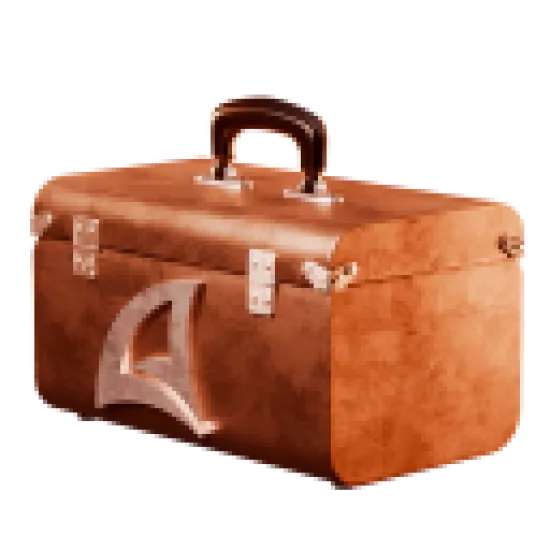 Бронзовый кейс - №79960