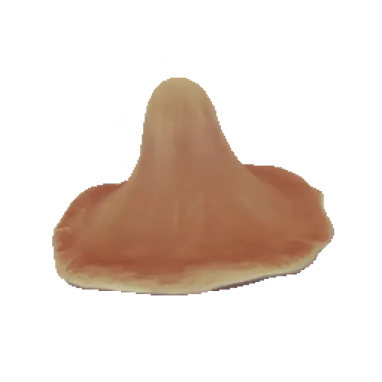 Грибная шляпа - №82043