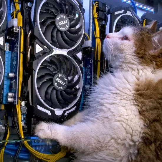 chrome_VbEgArOkhY-Домашняя_масляная_майнинг-ферма__Хабр_-_Google_Chr-min - №84171