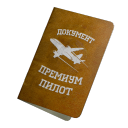 Документ: премиум пилот - №87890