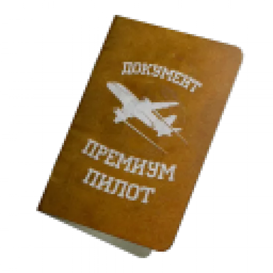 Документ: премиум пилот - №87890