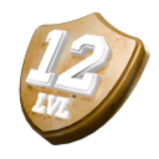 12 уровень персонажа - №85262