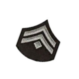 Нашивка на аксессуар(регенерация) - №91764