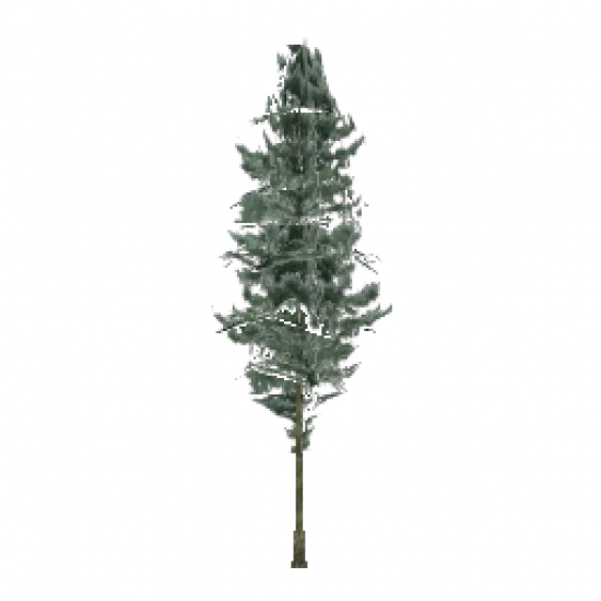 Не украшенная елка - №93004