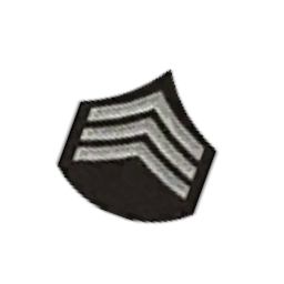 Нашивка на аксессуар(макс. хп) - №91745