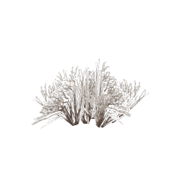 Грядка хлопка - №92948