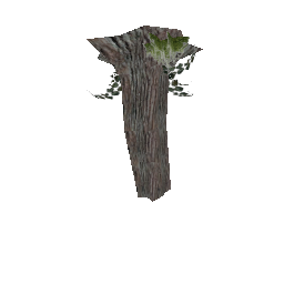 Гриб Млечник - №91733